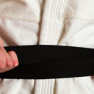 jujitsu small business strategy