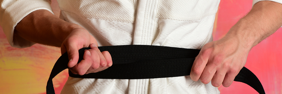 jujitsu small business strategy