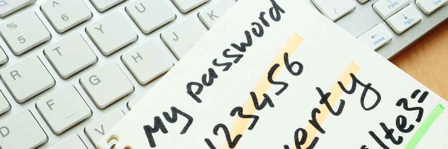 sharing email passwords