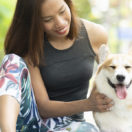 dog boarding dog kennel business