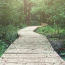 customer journey