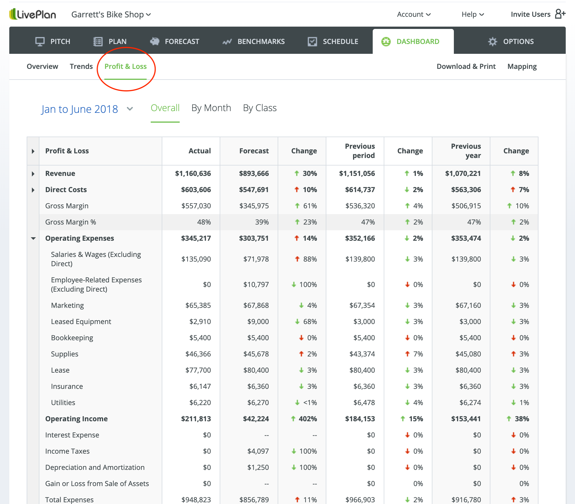 LivePlan Dashboard profit and loss statement
