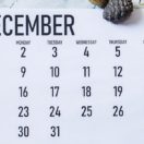celebrate national write a business plan month in december