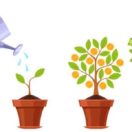 Starting a business is challenging. Continuing to grow your business is just as difficult. Here are 10 proven methods to help grow your business.