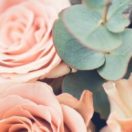 Wondering how to start a boutique? Our guide to starting an online boutique will walk you through the process, from planning to branding and more.