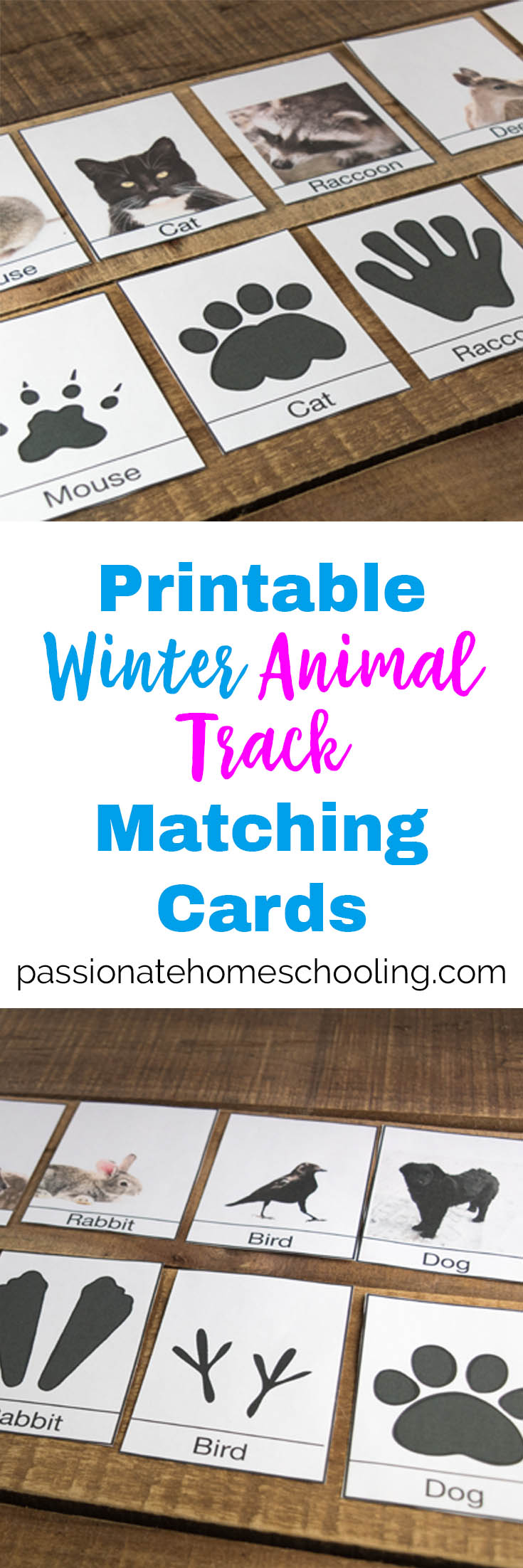 Free Printable Winter Animal Tracks Identification Matching Cards 