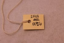 50 Year Award, Masonic, 1950s