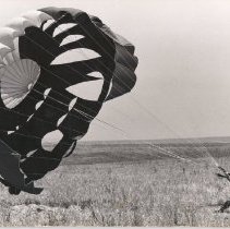 Jumper wrestles with parachute after landing.