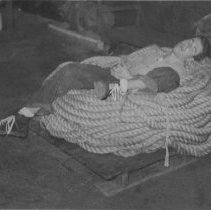 sailor sleeping in a pile of rope