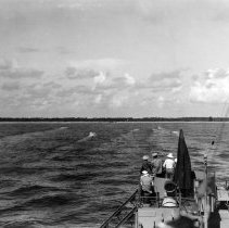 "Reddy Fox" going towards the beach