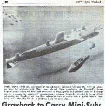 News articles about USS Grayback