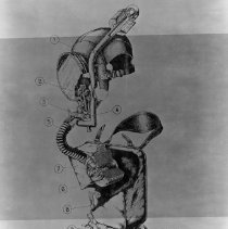 manual for Pirelli Lung