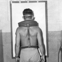 Dive Harness, back view