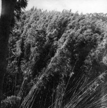 Proof sheets for UDT 15