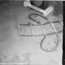 Photograph, Black-and-White