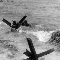 Diver placing charge on hedgehog