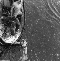 Artic dive. Divers in water
