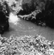 Cold water swimming in Maui