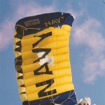 Collection of photos taken by the museum for Muster XV