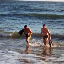 Collection of photos taken by the museum for Muster XV