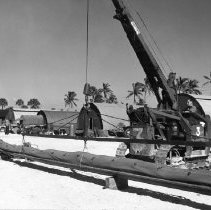 Reddy fox lifted by crane in Ft. Pierce