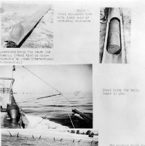 Reddy fox demonstration photos