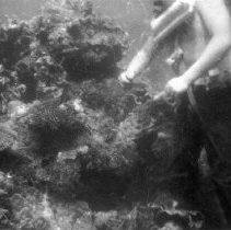 #11 Chief Shipfitter Butch Koepke NCDU 19