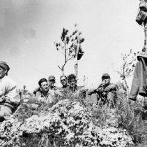 UDT 12 Unofficial Log Book