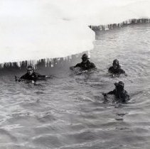 UDTs in the water along the edge of an ice floe