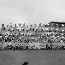 WWII photo collection