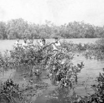 PRU Program, Vietnam and Bob Wagner photos