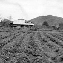 PRU Program, Vietnam and Bob Wagner photos