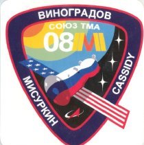 Soyuz TMA 08M Mission Patch (Sticker)