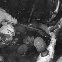 USS Blessman bombing