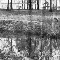 Bad for the losers....