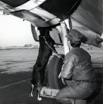 Steve Nash and Bourbon, drug sniffing dog for Interdiction Team