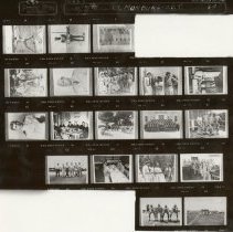 35mm Negatives sheet