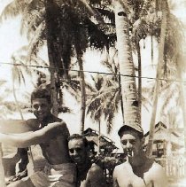 3 Men At A Palm Tree