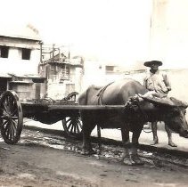 Ox Cart