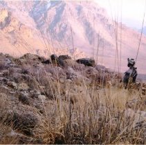 Hills of Afghanistan with troops