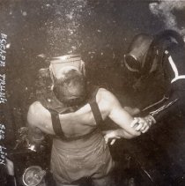 Escape Trunk Sea Lion