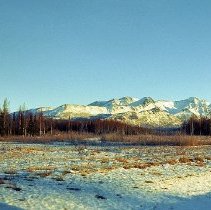 1977-01_scan_35_00094 - V00094