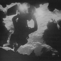 Flying the Pegasis through coral tunnels