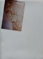 Wallpaper from PTC house