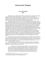 Image of first page of Wakazooville article