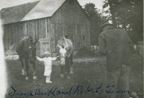 Irene Barth holding Robert Barth's 2-horse team