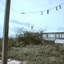 Close Line at teh Beach