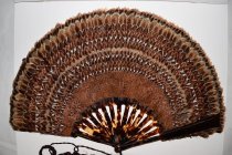 Feather fan, n.d.