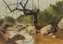 Sycamore, Mission Creek, February 16, 1903