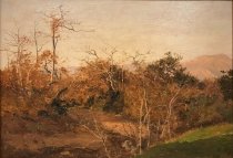 Sycamores at Meadow's Edge, February 1903